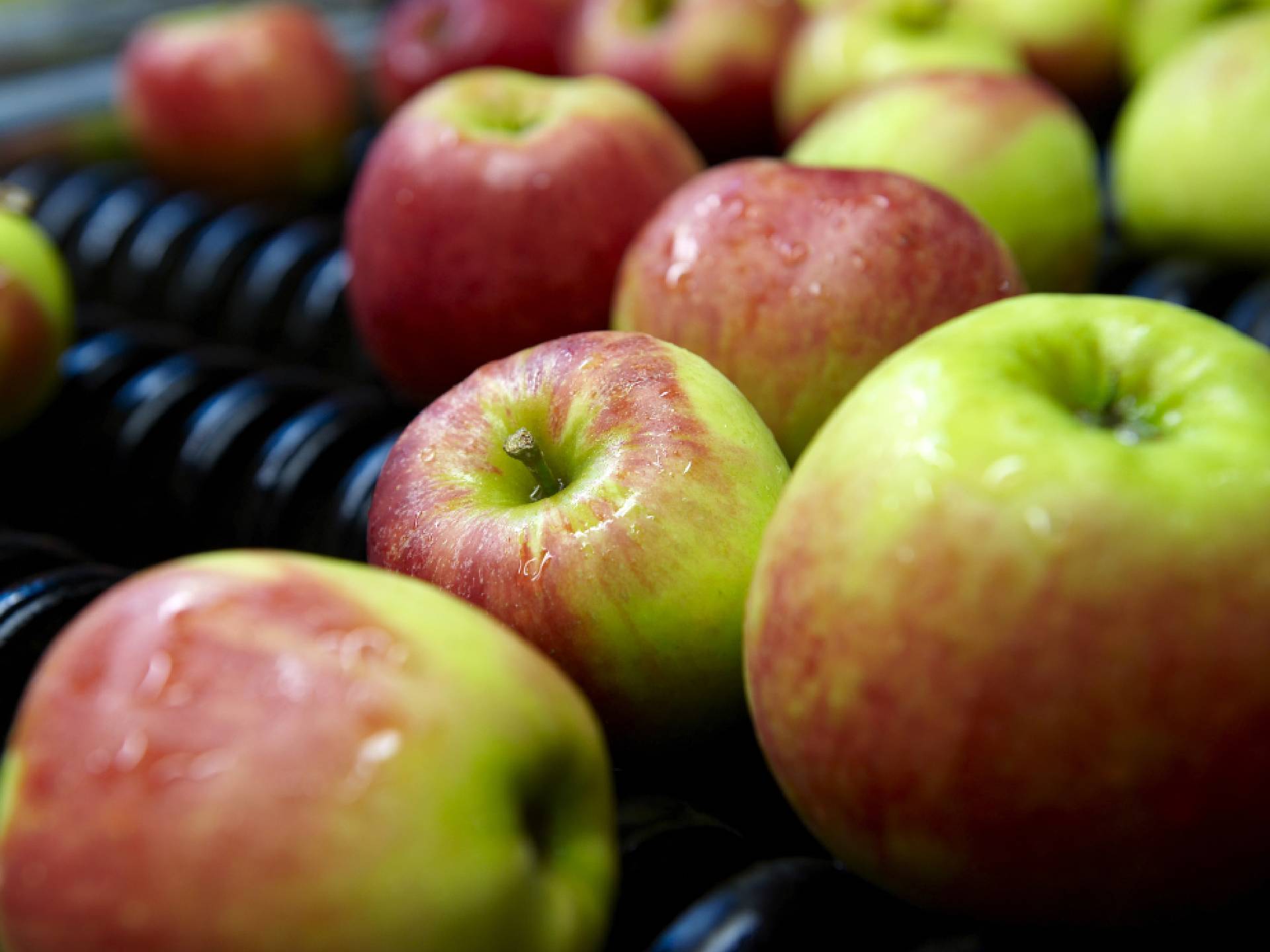 Appels