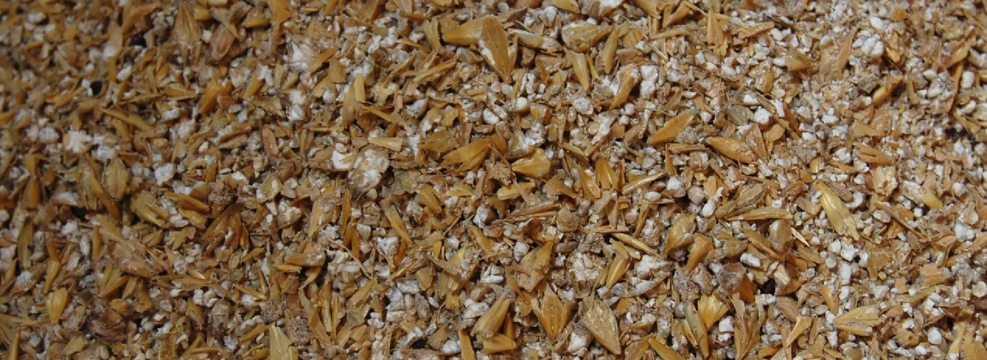 Maxammon Grain Gerst