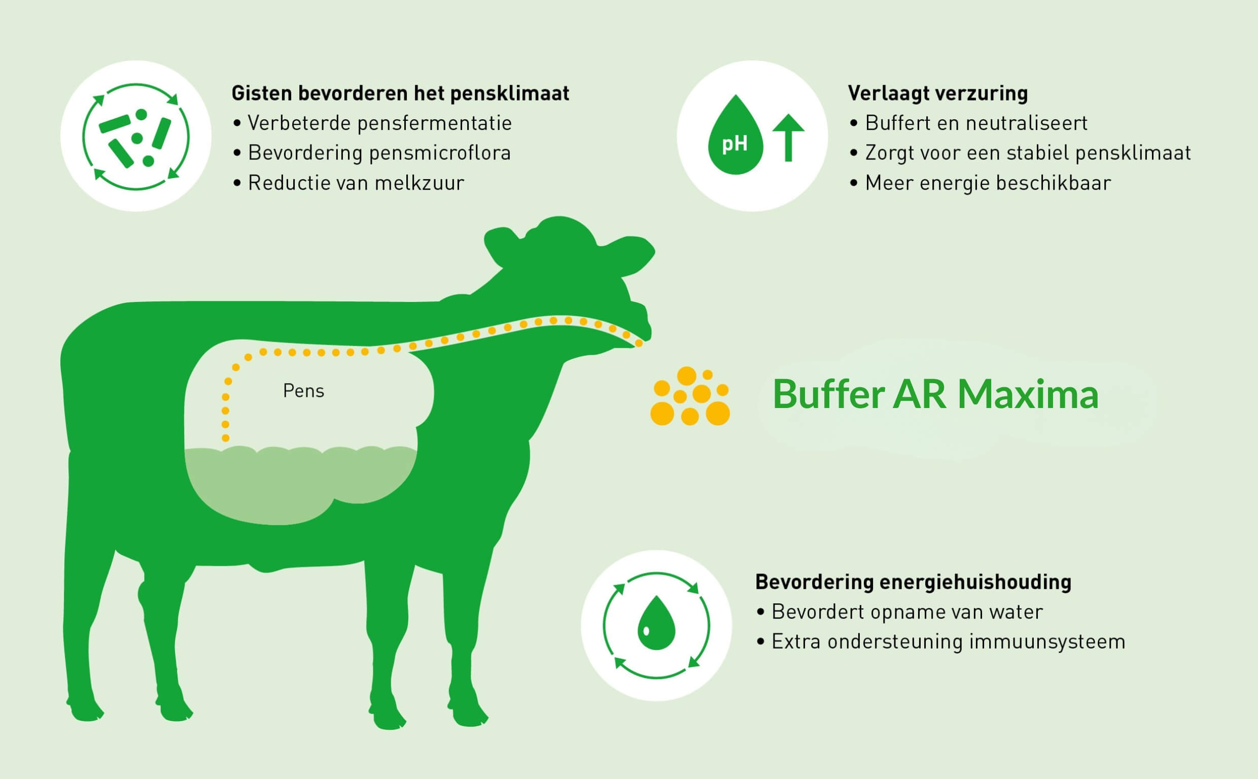 Buffer AR Maxima